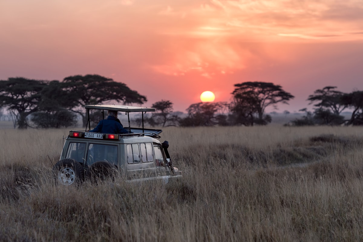 Kruger Safari Wildtiere