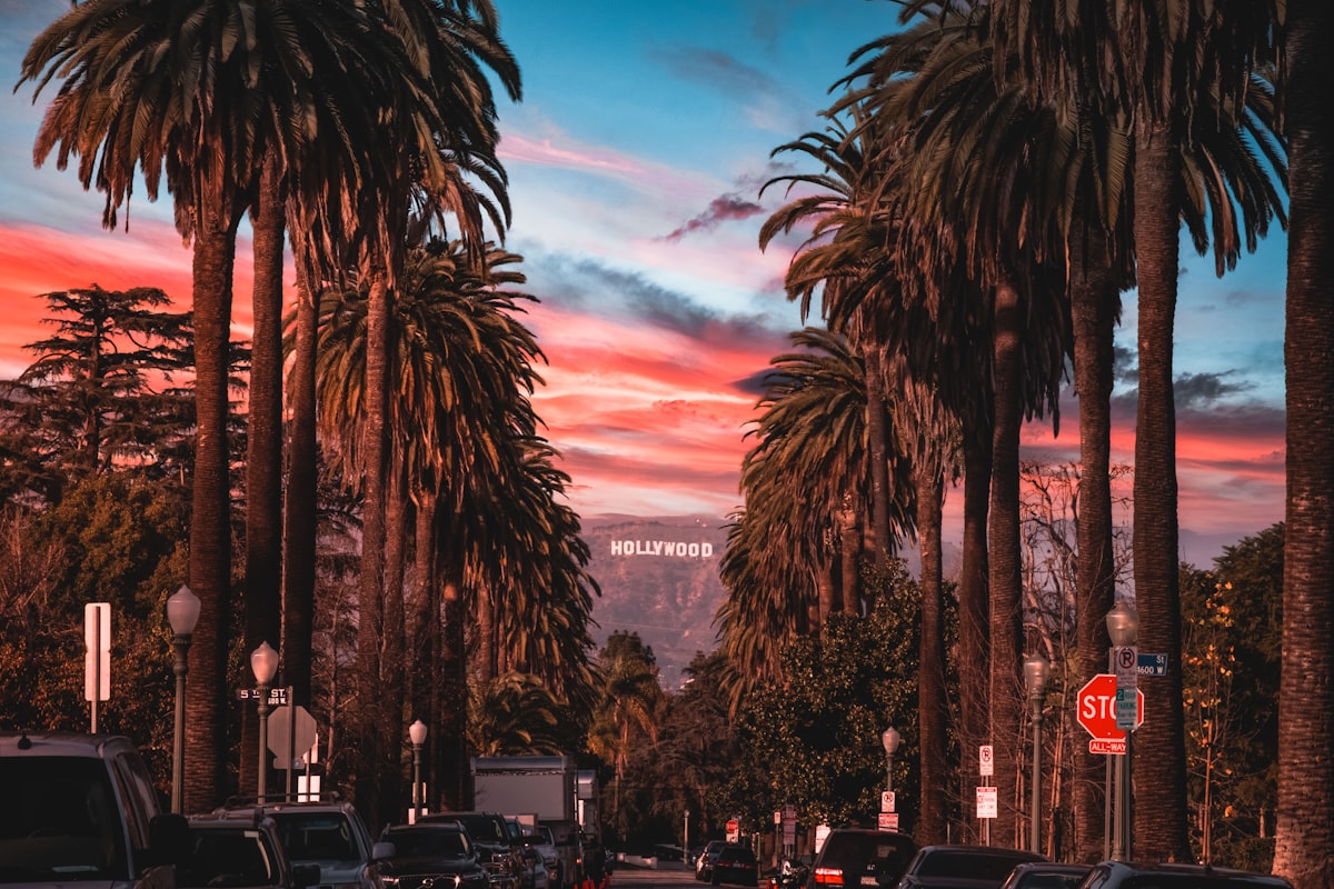 Los Angeles Strand & Palmen